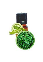 Thyme Essential Oil - 5ml (1/6oz) -100% PURE Thymus Vulgaris - $14.69