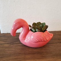 Pink Flamingo Planter with Succulent, live plant, Echeveria in Ceramic Bird Pot image 1