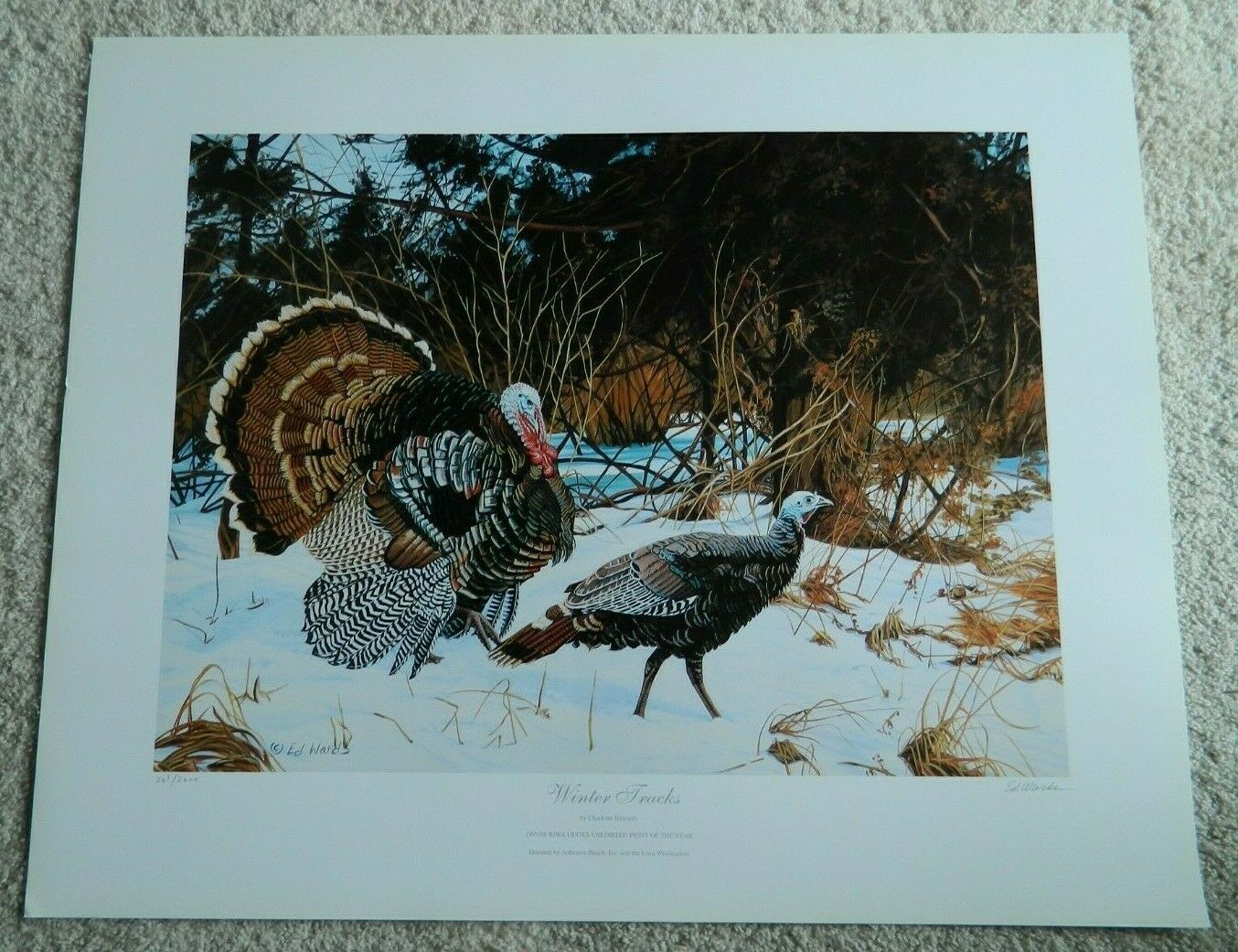 19971998 Iowa Ducks Unlimited Print of the Year DU Charlotte Edwards T