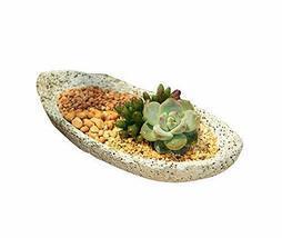 PANDA SUPERSTORE Made of Cement European Vintage Style Succulent Plant P... - £24.57 GBP