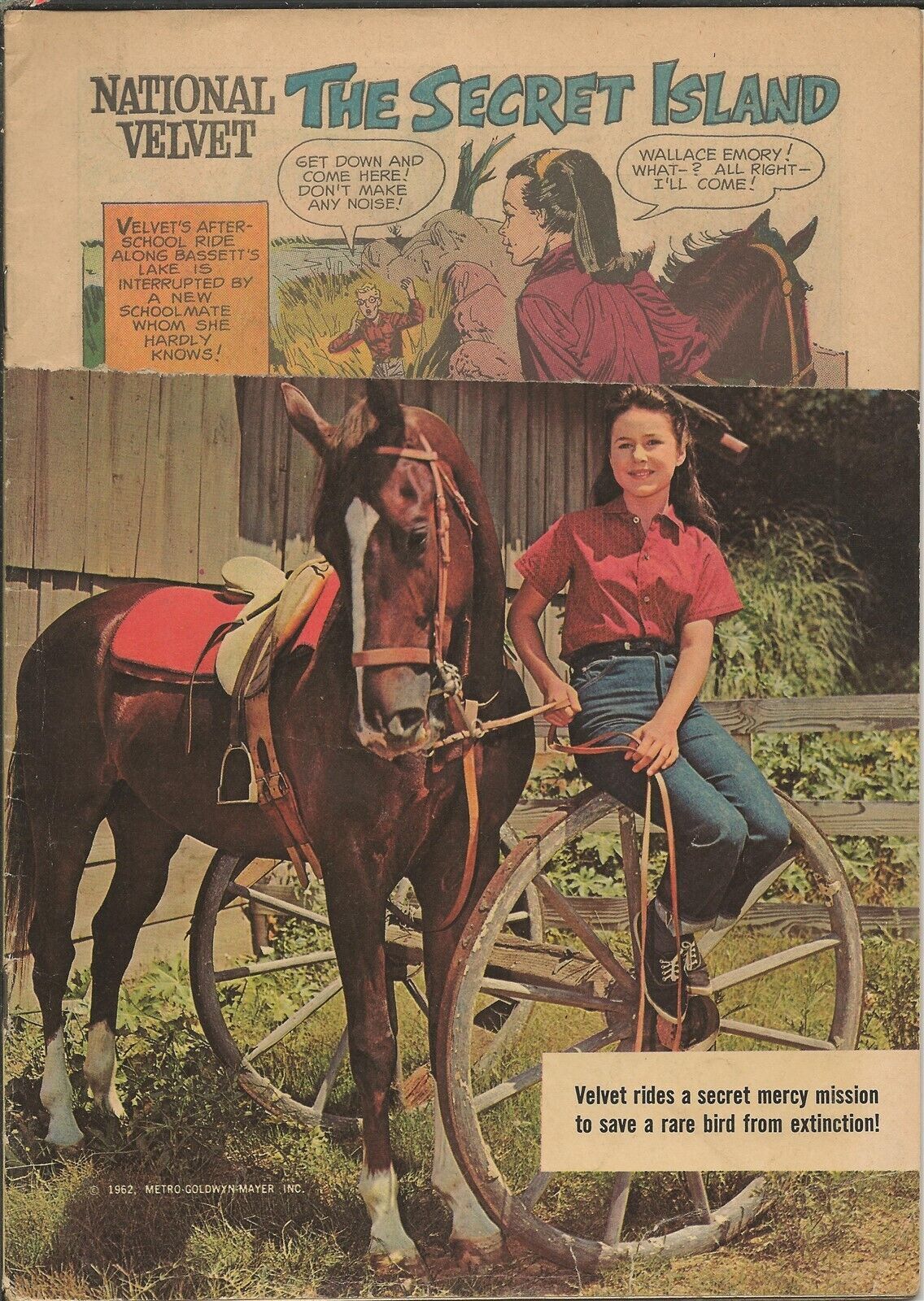 Primary image for National Velvet #207 ORIGINAL Vintage 1962 Dell Comics Photo Cover