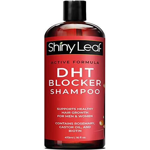 Shiny Leaf DHT Blocker Shampoo, Active Formula DHT Blocking Ingredients ...
