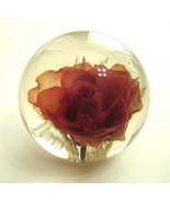  Vintage HAFOD GRANGE Paperweight Red Rose made in Great Britain - $29.99