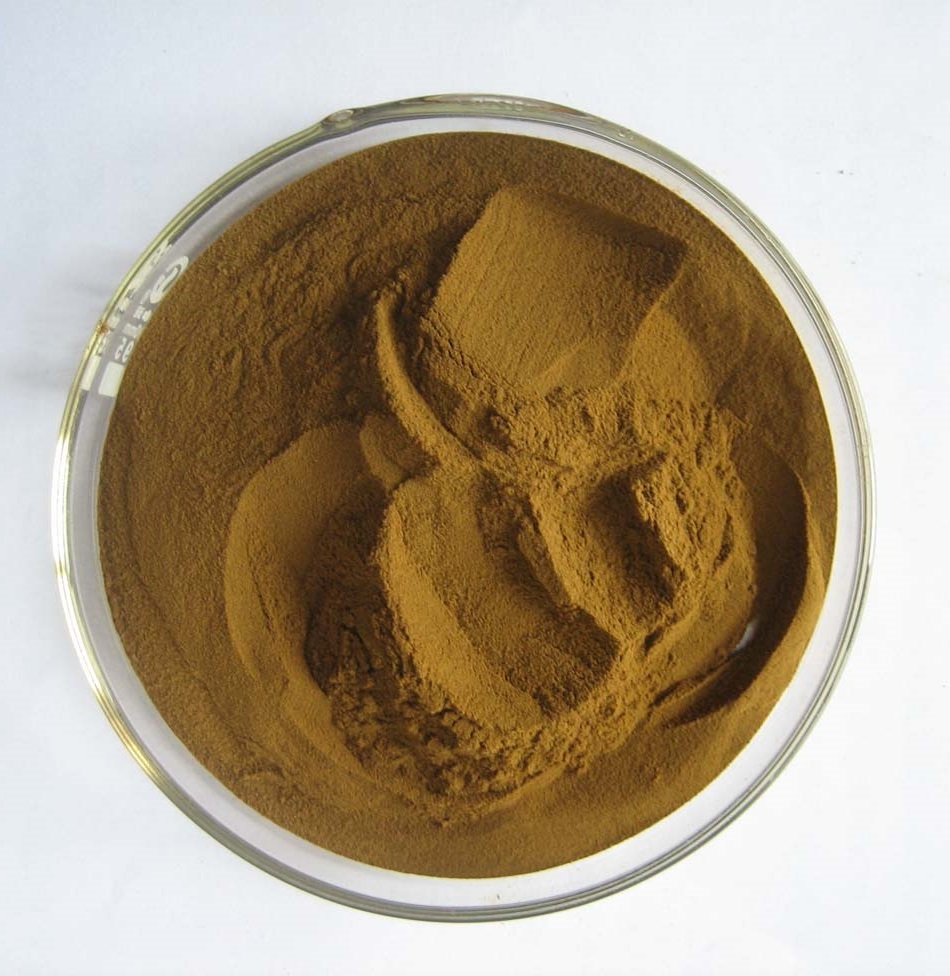 50g Coleus Forskohlii extract powder with 15 forskolin content