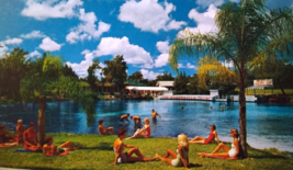 Weeki Wachee Spring Florida Postcard Swimsuit Ladies Underwater Theater ... - $14.85