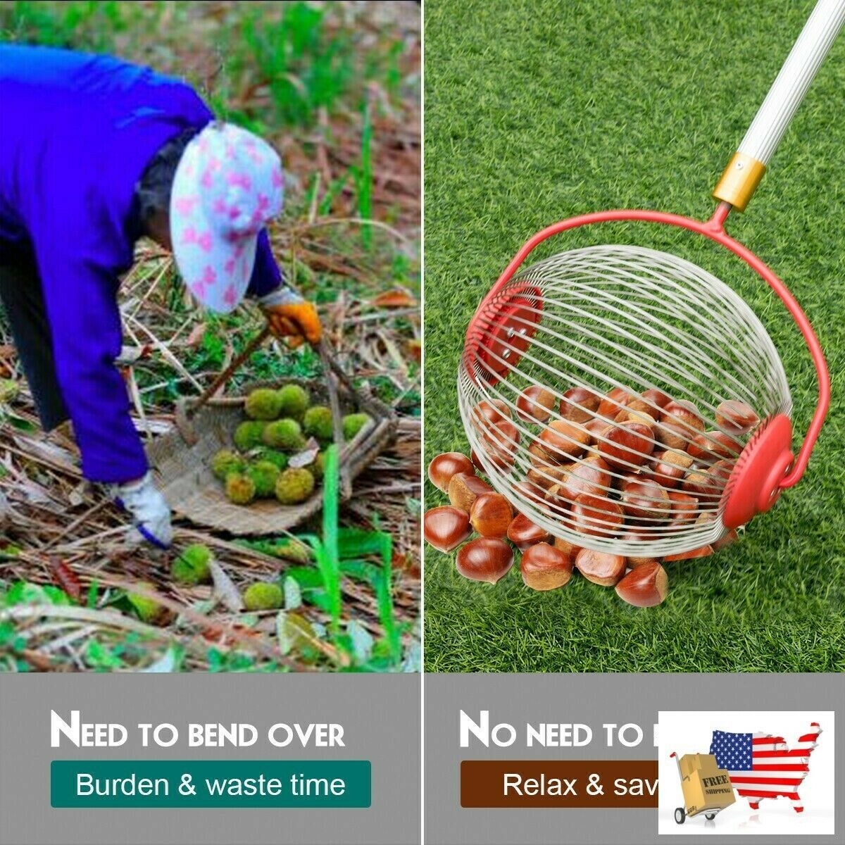 Garden Tools Medium Rolling Nut Gatherer Picks Up Balls Nuts And Other