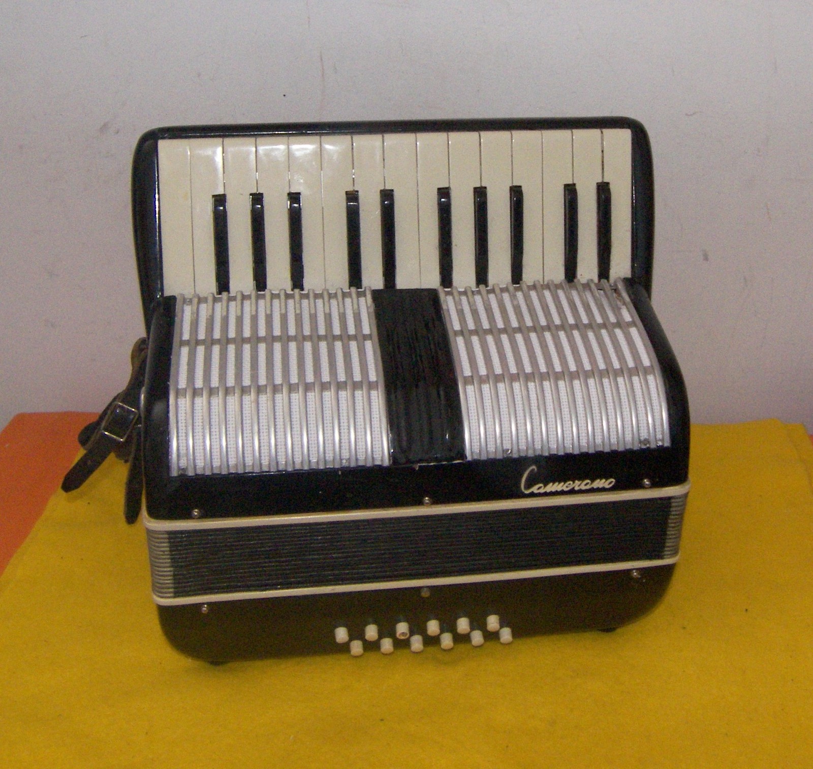 12 Bass Camerano Accordion / Accordian Other Vintage Woodwind