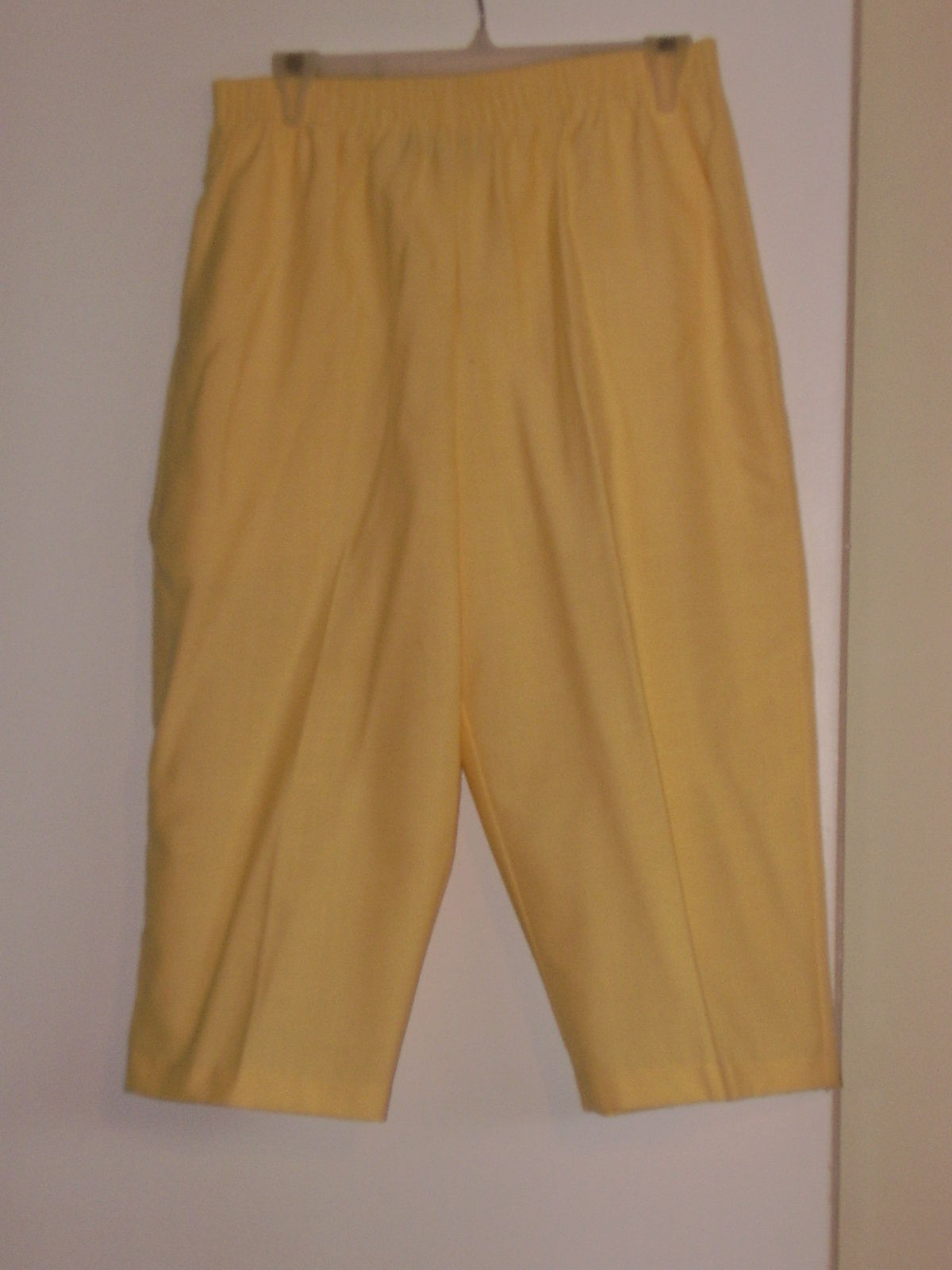 briggs slacks petite