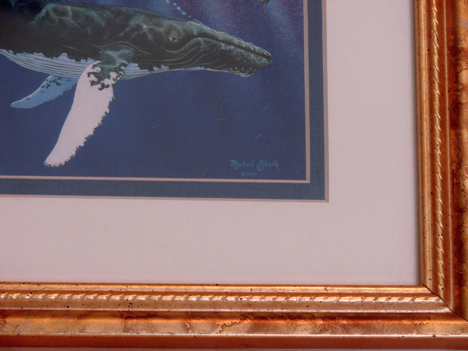 Michael Stark Matted, Framed & Signed Print of Whales - Art Prints