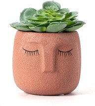 Awef Head Design Plant Pot With Drainage Hole, Elegant Cement Face, Brick - $39.99