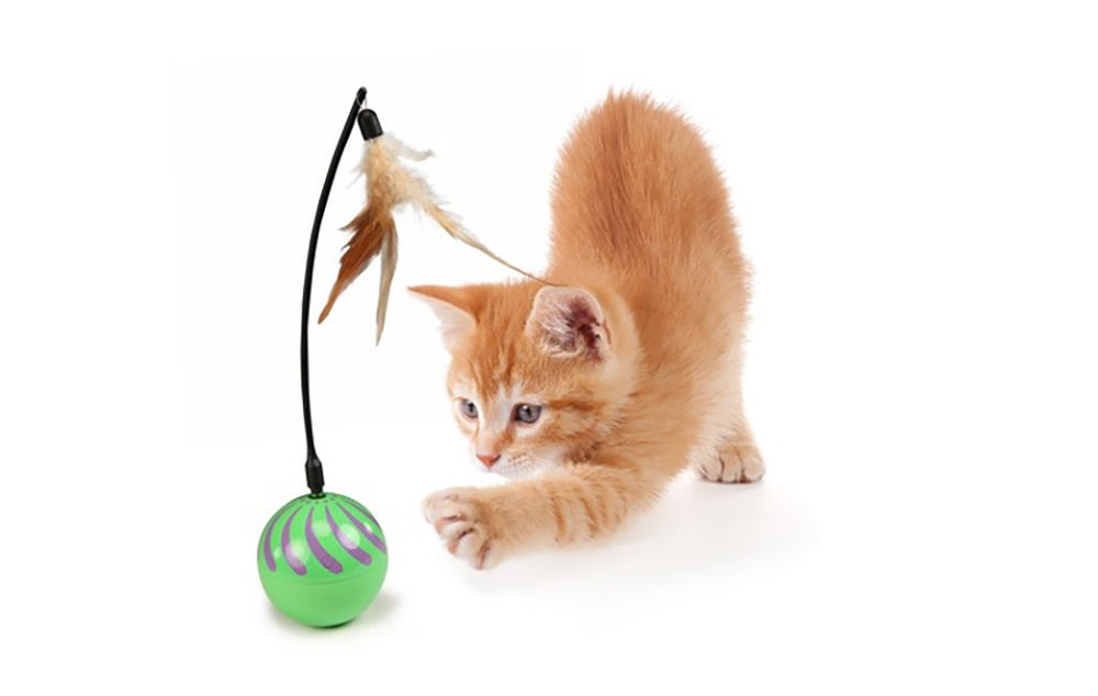 smartykat feather whirl electronic motion cat toy