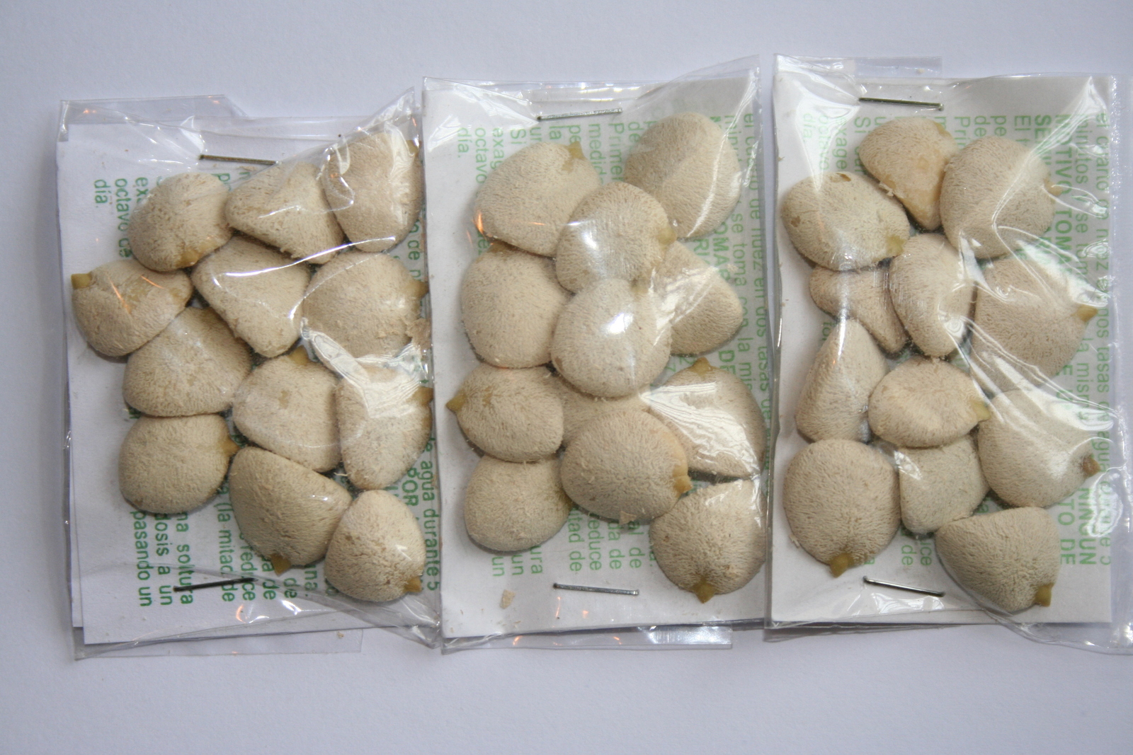 Nuez de La India ( 3 PACKS ) 100 Original Authentic Indian Nut Weight