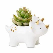 Dinosaur Ceramic Planter, Triceratop Flower Pot for Kids Room Decoration... - $14.55