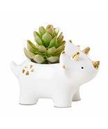 Dinosaur Ceramic Planter, Triceratop Flower Pot for Kids Room Decoration... - £11.66 GBP