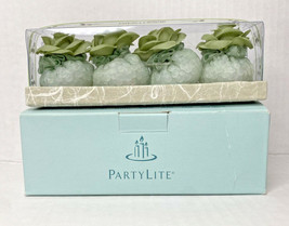 PartyLite Fresh Home Scent Sachets Retired Scents New Leaf & Aloe P18C/F09499 - $9.99