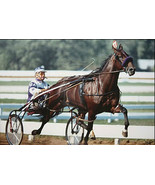 DVD - NIATROSS: 1980 Little Brown Jug...RARE Mini Documentary - $24.99