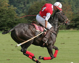 t2ec16dhjgke9no8ipo3bq4og2qgu 60 35 thumb155 crop