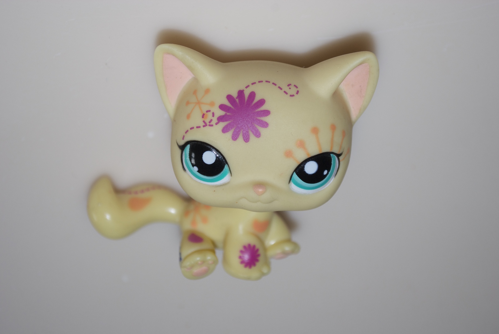 lps flower cat