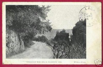 MADISON INDIANA Hills Road Flora Photo UDB 1908 - $5.00