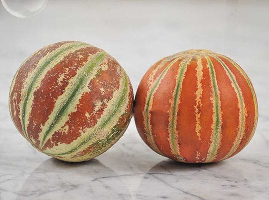 Rare Kajari Sweet Melon Fruit, melon colorful skin fruit, 10 pcs seeds