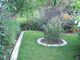 SUPPLIES+ 4 LARGE CONCRETE MOLDS MAKE GARDEN LAWN EDGING - CRAFT RIGHT AT HOME image 6