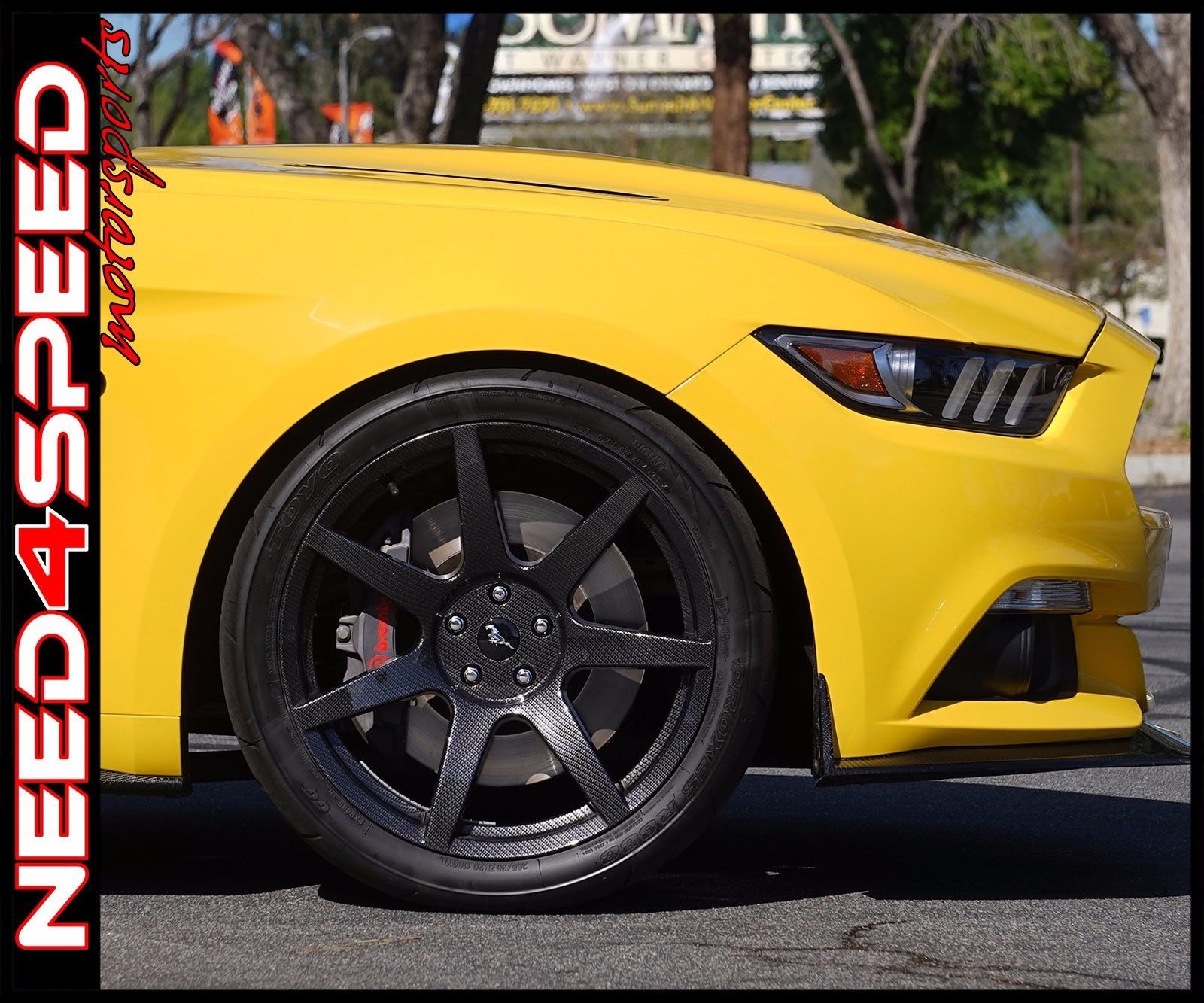 19" Project 6GR 19x10 Concave Carbon Fiber Wheels for Mustang