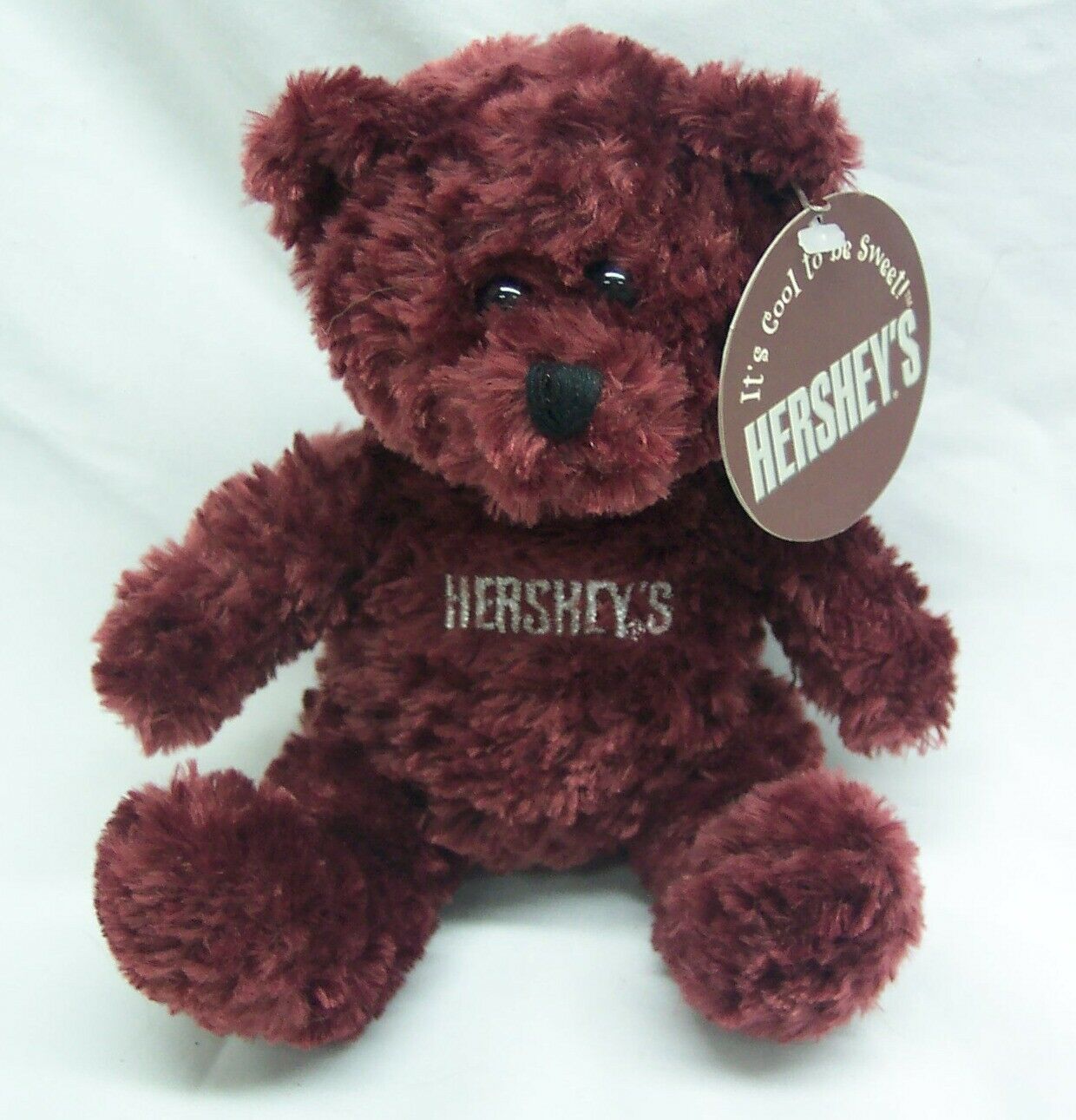 teddy bear holding chocolate