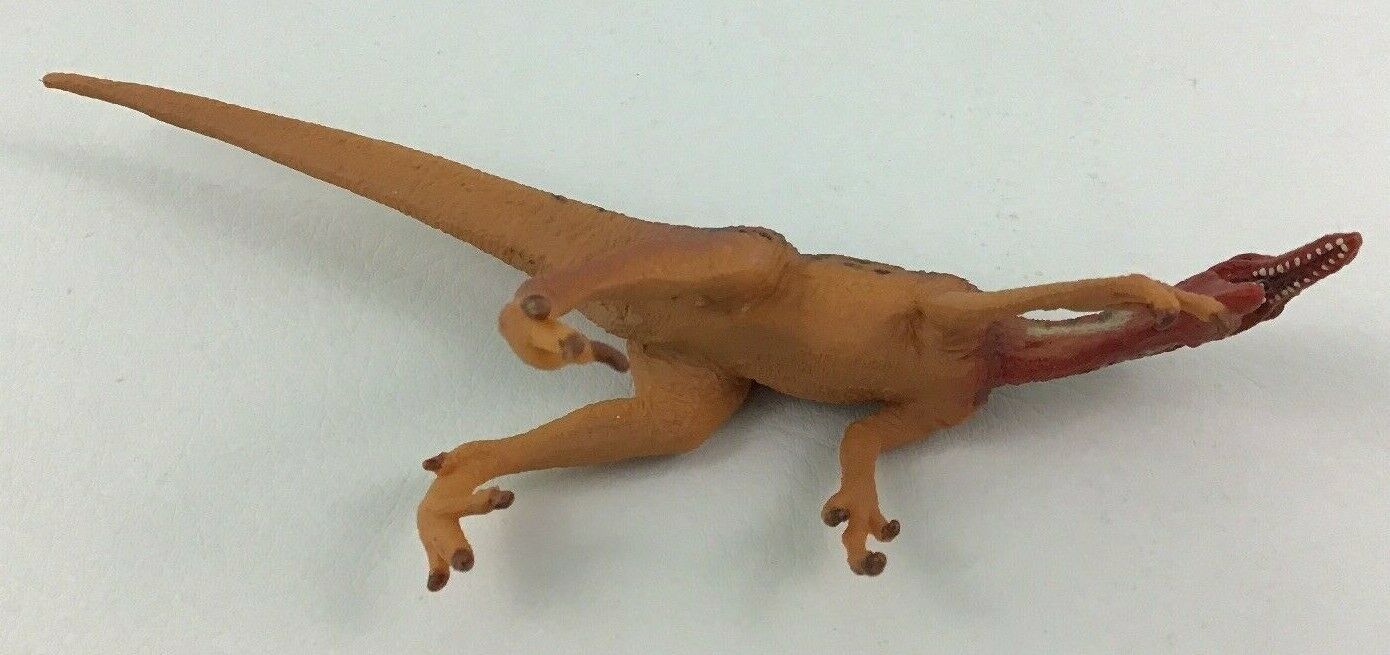 carnegie velociraptor