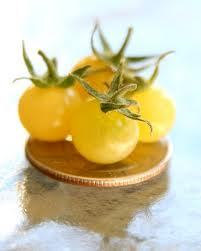 25 Worlds Smallest Yellow Tomatoes Seeds-1265
