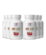 Milk Thistle Supplements - URIC Acid Natural ANTIOXIDANT - Tart Cherry, ... - $89.05