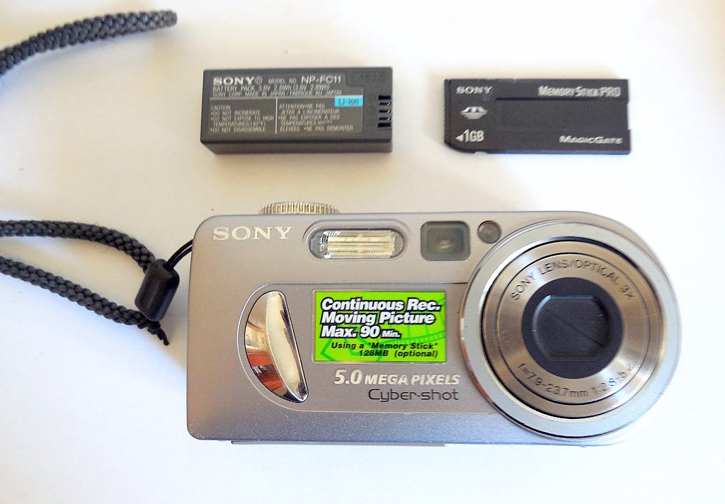 Sony Cybershot DSCP10 5.0 MP Digital Camera Digital Cameras