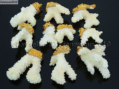 Natural Gemstone White Sponge Coral Freeform Branch Pendant Charm Beads 18K Gold