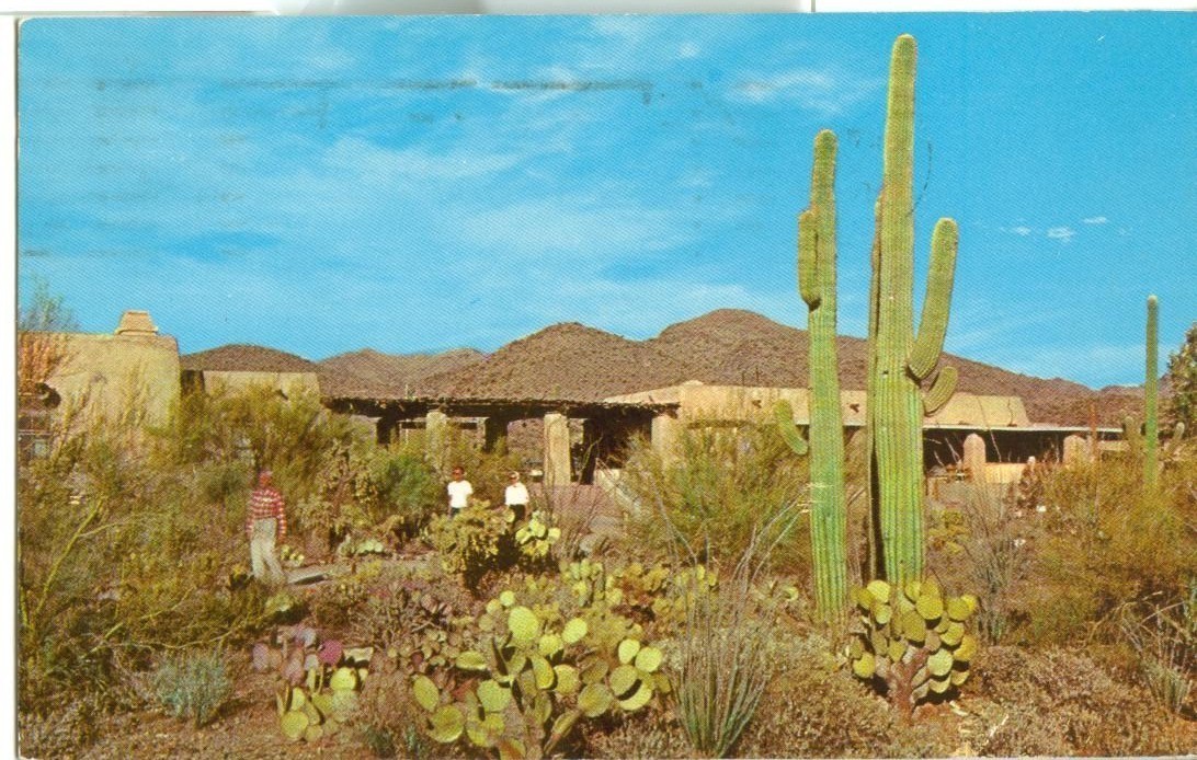 Desert museum coupons 2019