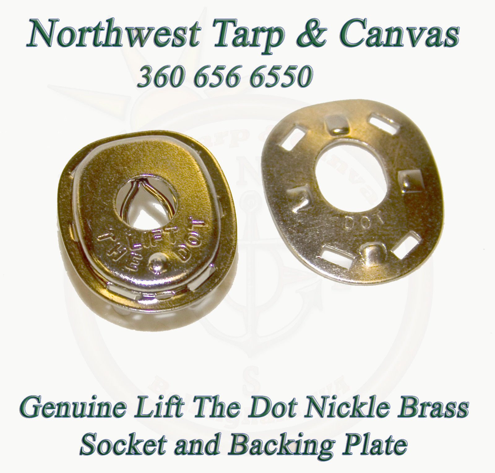 Backing Plate /& 1//2/" Screw Stud 100 sets Lift The Dot Fasteners Kit S.S Socket