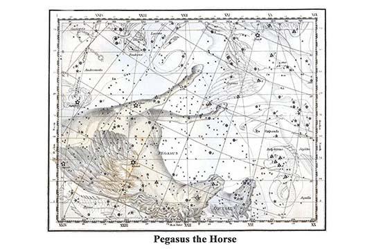 Primary image for Pegasus the Horse