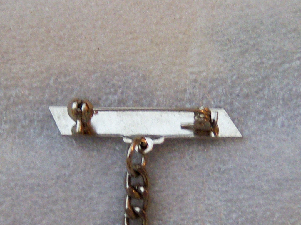 Unique Pin. Chain Link Pin. Articulated Pin. Pins With Chains