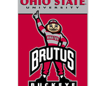 Ohio state area rug