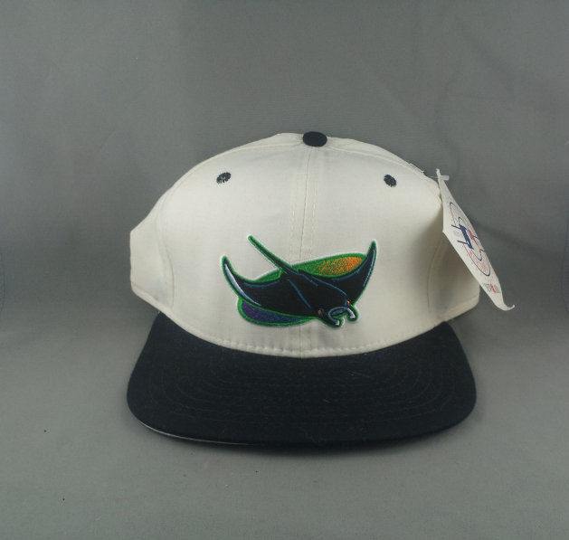 Tampa Bay Devil Rays THROWBACK 90's Ball Cap MLB Snapback Purple