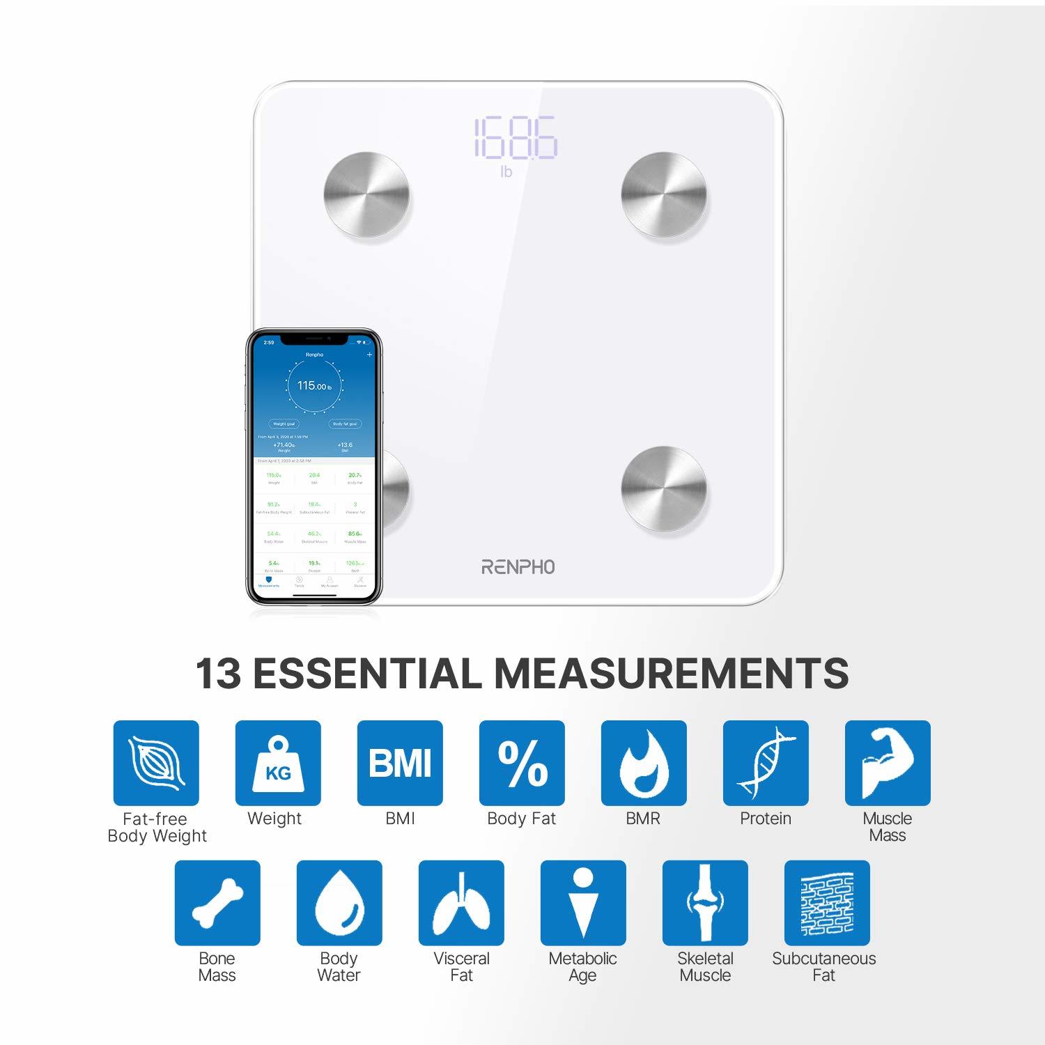 InstaTrack Large Dial Metal Analog Bathroom Scale with Silver Mat, Accurate  Measurements up to 330 Pounds, Battery Free