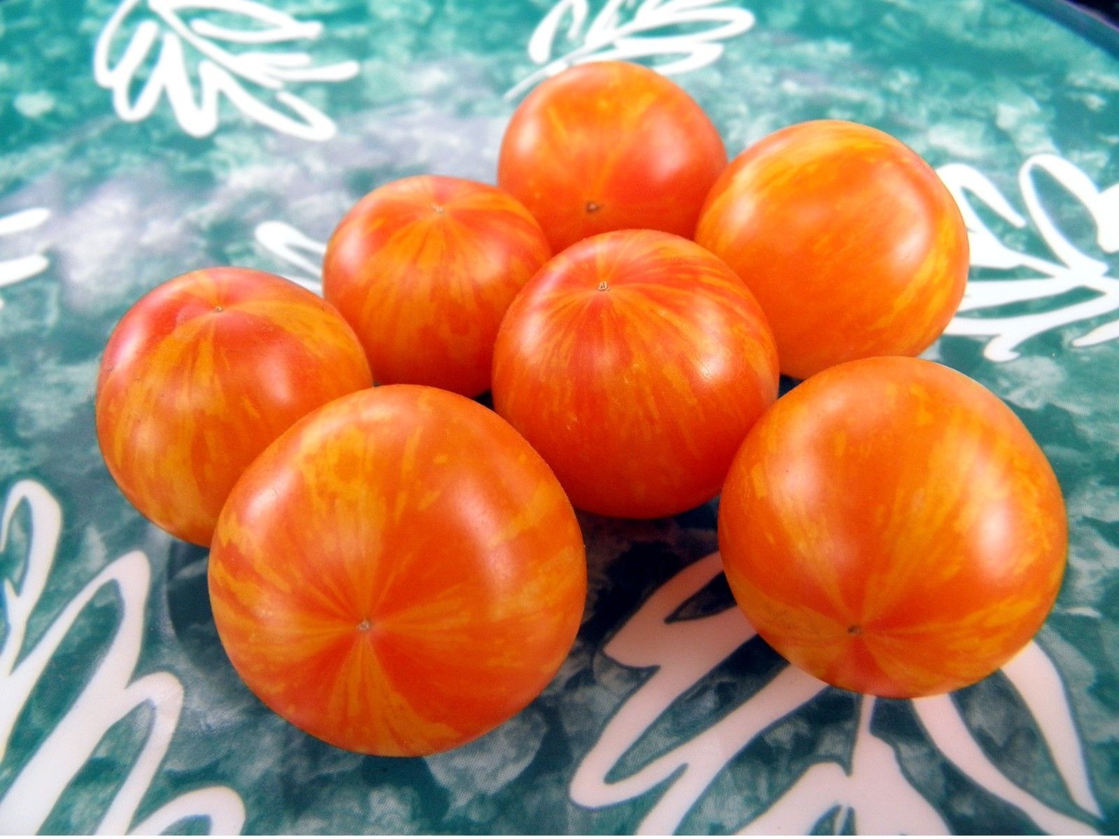 Primary image for Starfire Isis - Perhaps the world's most beautiful cherry tomato, J&L variety