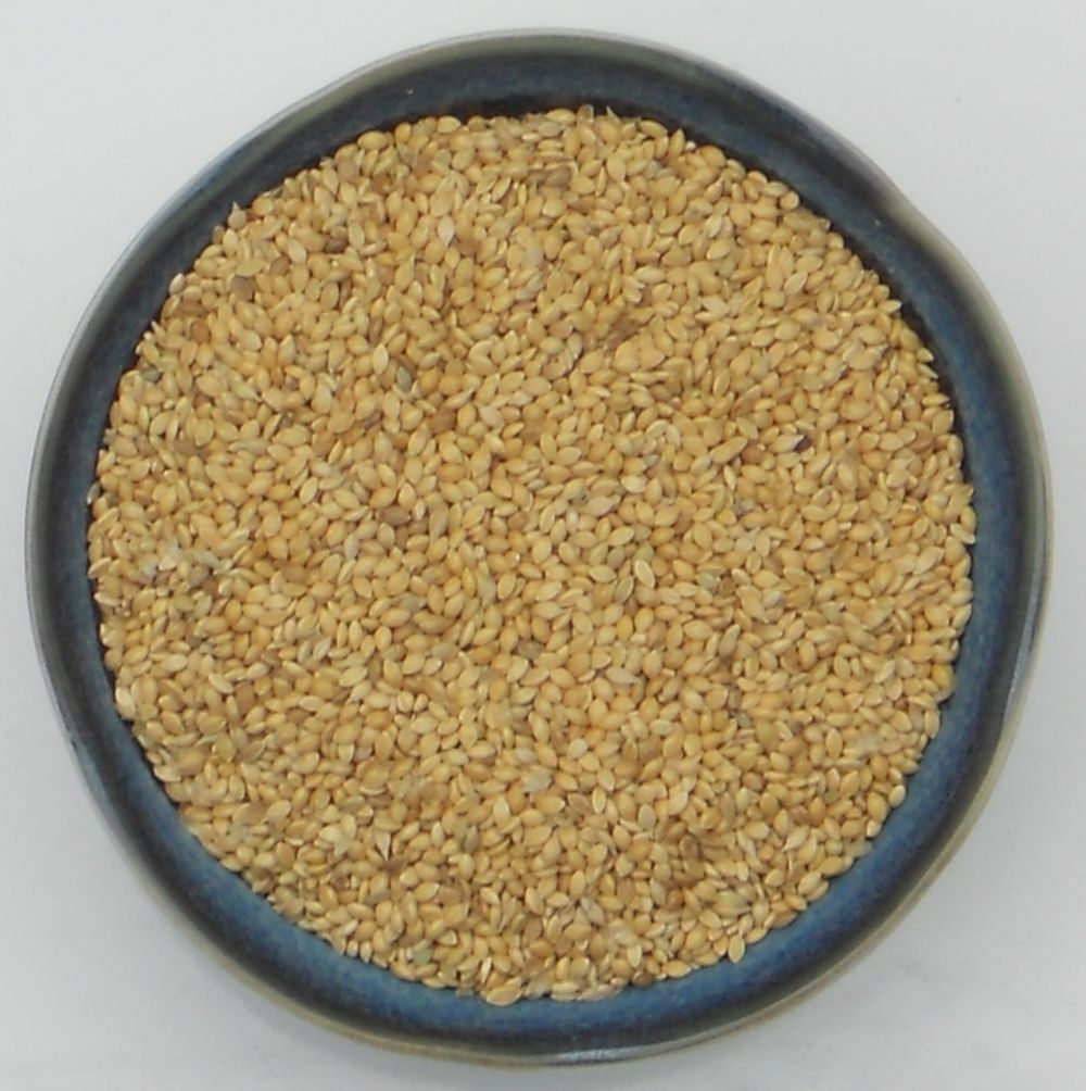 Golden German Foxtail Millet Seeds Silage Forage Pasture Crop Seed (3