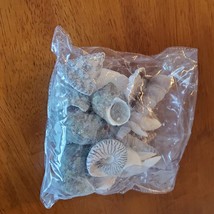 Sea Shells, Assorted Shells for Crafts, Soil Topper, Vase Filler, Seashells image 2