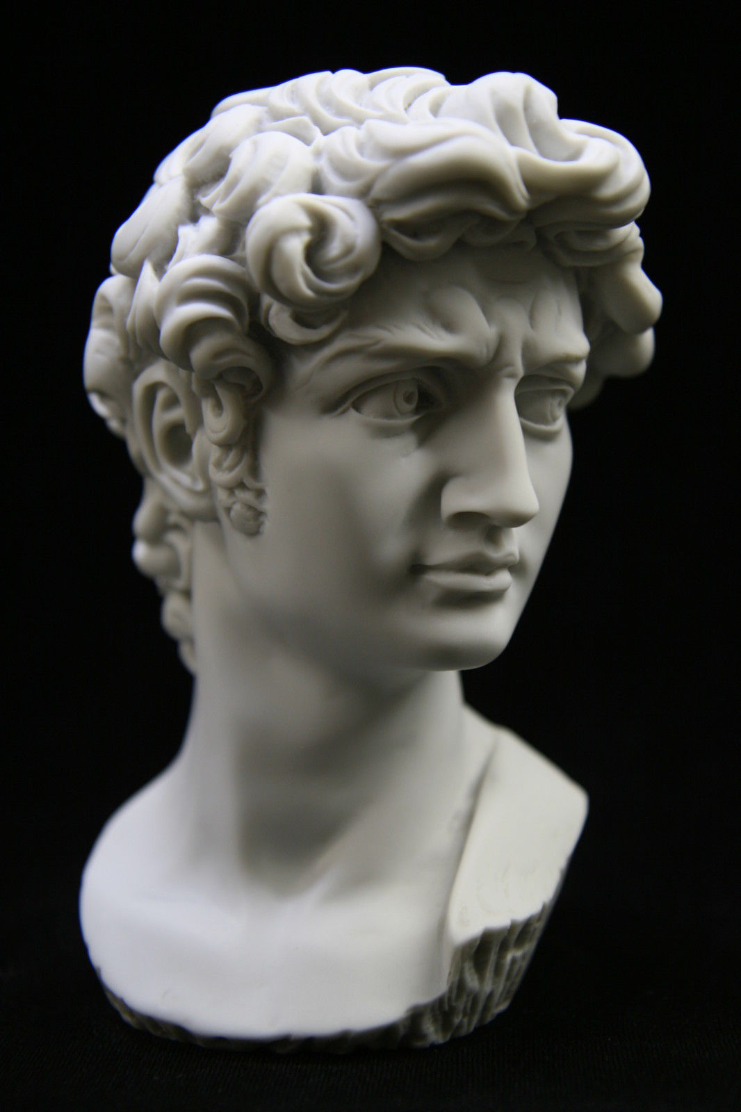 Давид гипсовая голова скульптура