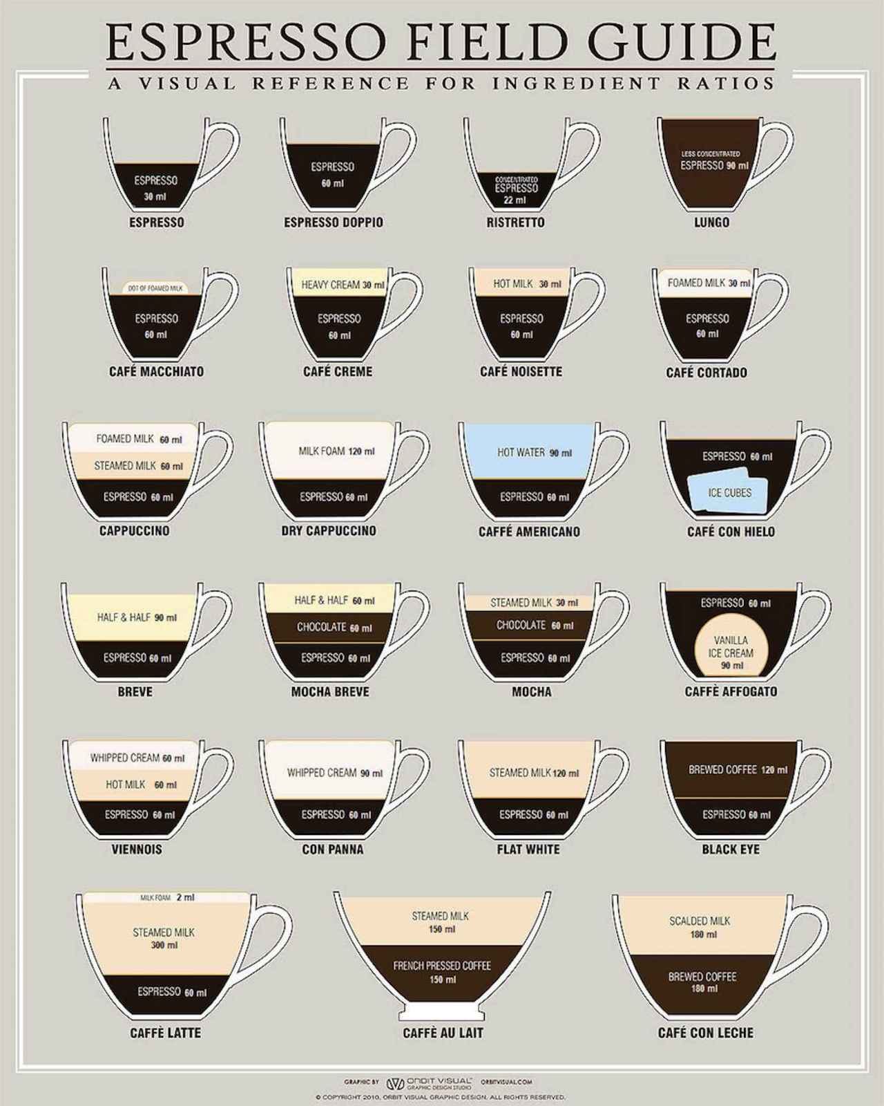 Espresso Field Guide Poster 12x19 inhces 32x49 cm - Art Prints