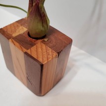 Live Air Plant in Upcycled Wooden Holder image 4