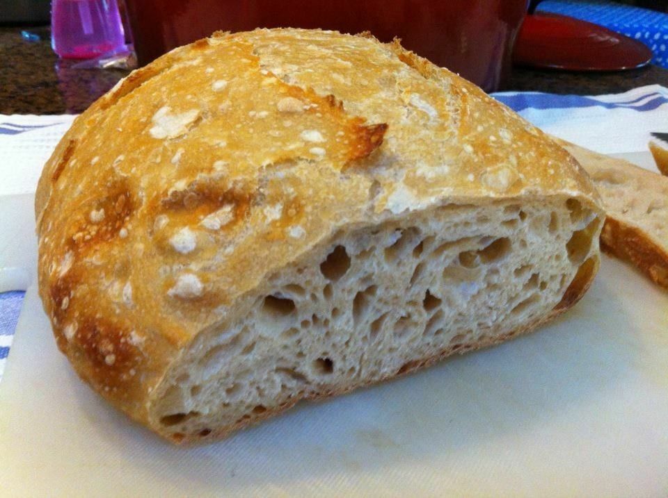 sourdough starter BREAD YEAST OUR FAVORITE FOOTHILLS  Larry very sour and old