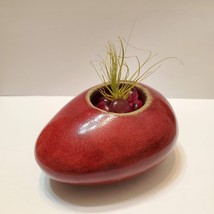 Air Plant in Upcycled Candle Holder, Tealight Holder, Red Pottery Airplant Pot image 1
