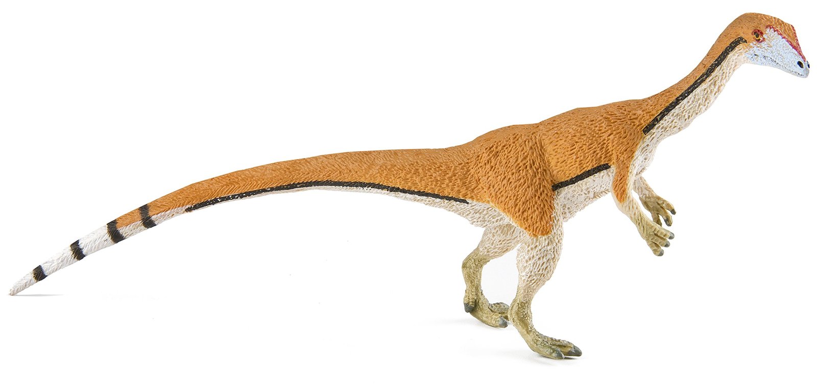 coelophysis model made by safari ltd