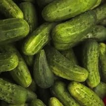 500 Seeds National Pickling Cucumber Non-gmo Heirloom Seeds - $7.91