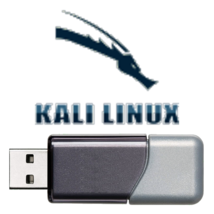 Kali Linux Live Usb BIOS/UEFI Or Custom Distro - $12.95